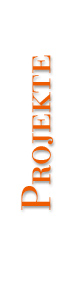 Seite Projekte